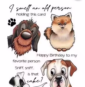 A6 - ODEY & FRIENDS 5